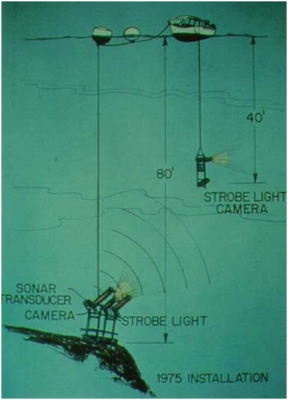1975 - Rines version of diagram