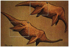 KEPLER'S CHILDREN